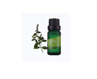 Peppermint essential oil